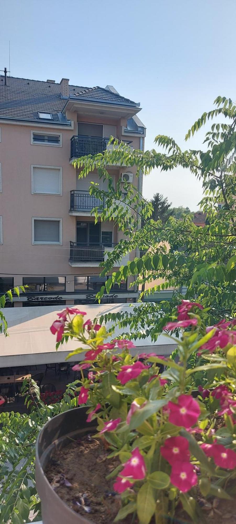 Teanta Apartman Sombor Extérieur photo